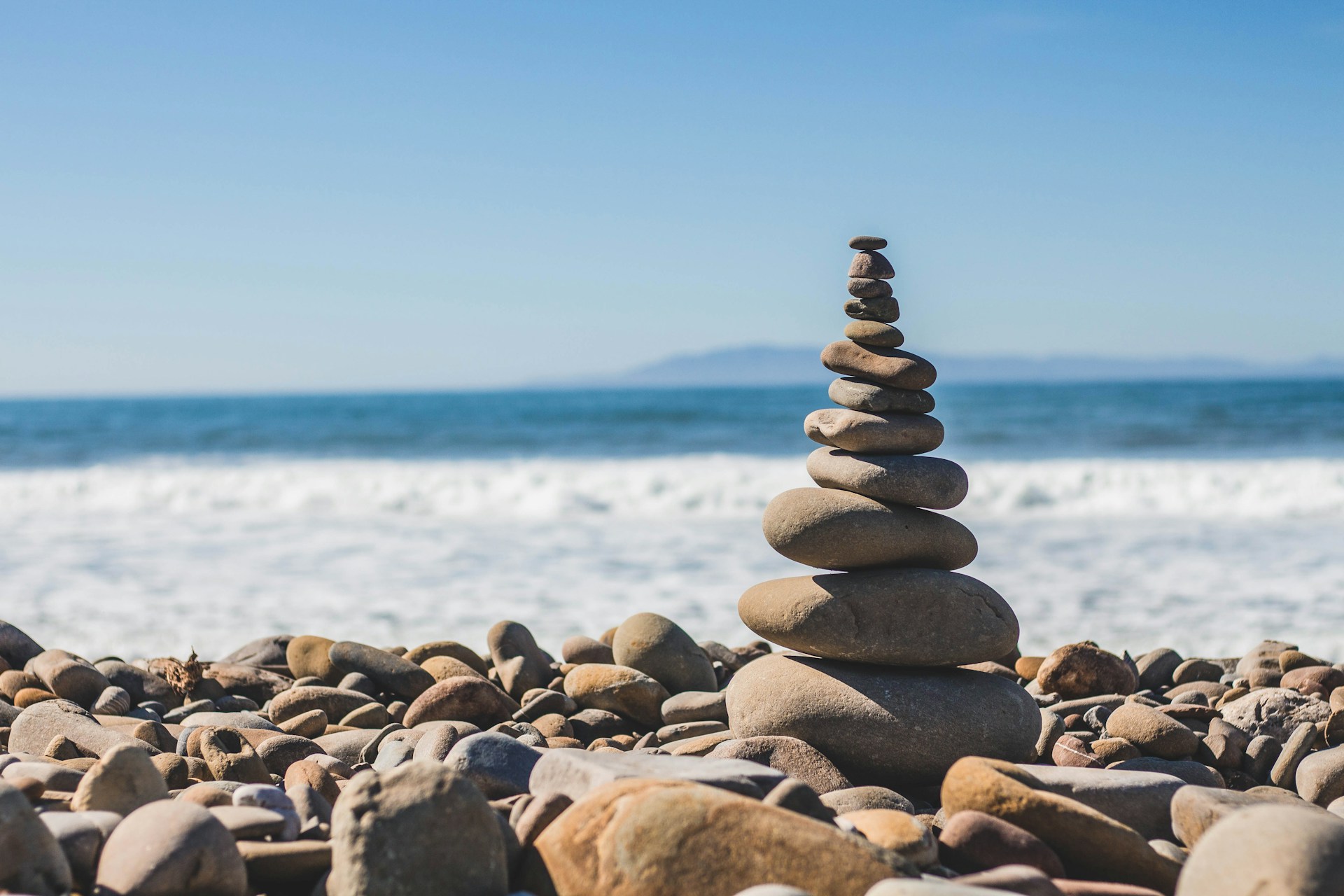 Professional wellness consultation